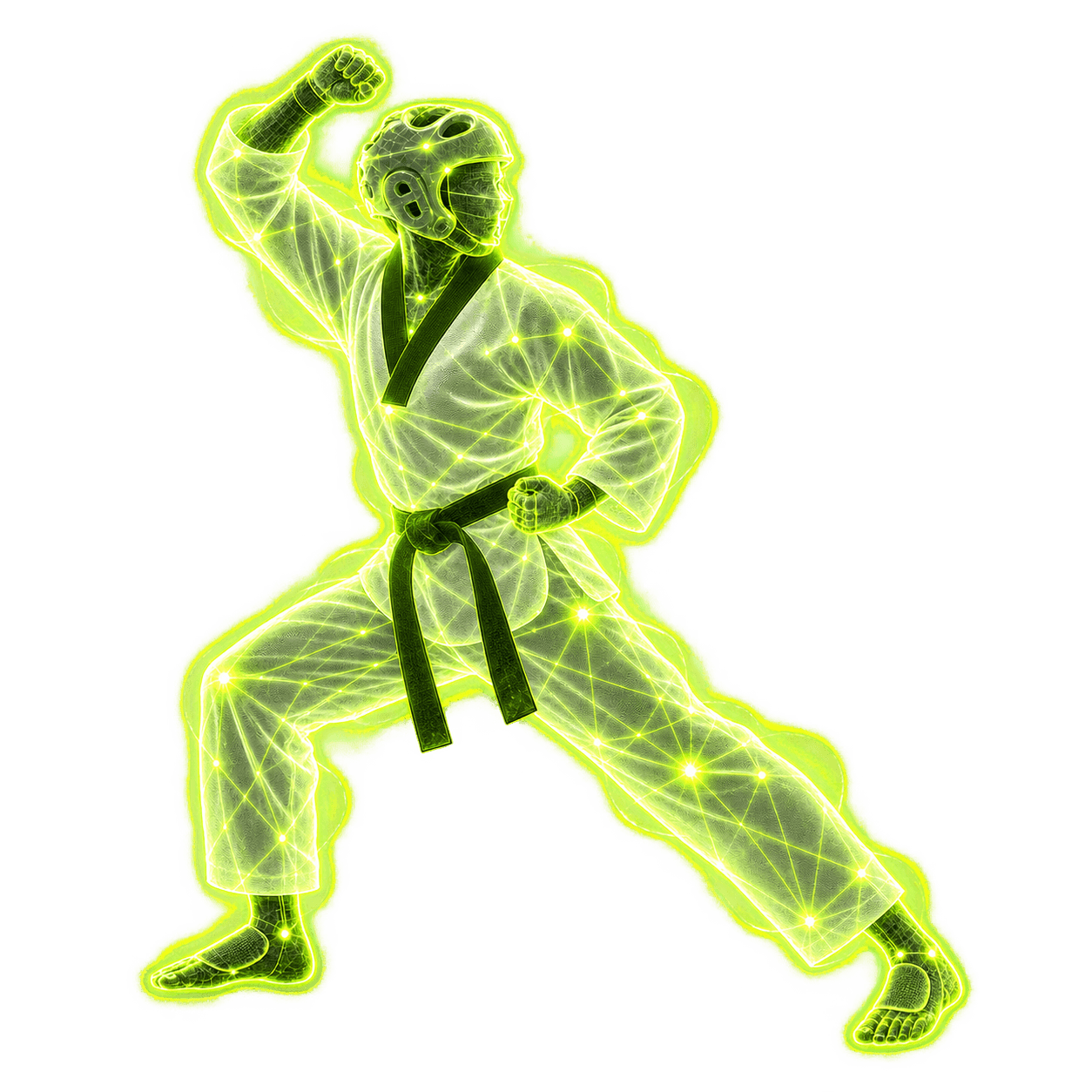 AI-tracked taekwondo athlete executing a high block